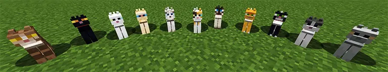 Types of Cats