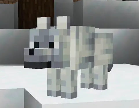 Snowy Wolves